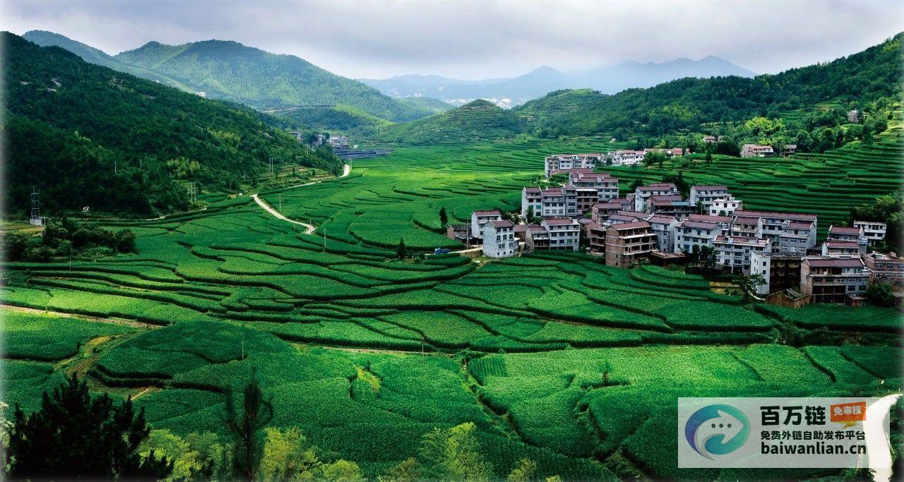 乡村经济新时代破土而出 河北卢龙 特色养殖引擎澎湃 (乡村经济社会发展新风貌)